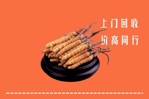 眉县回收冬虫夏草