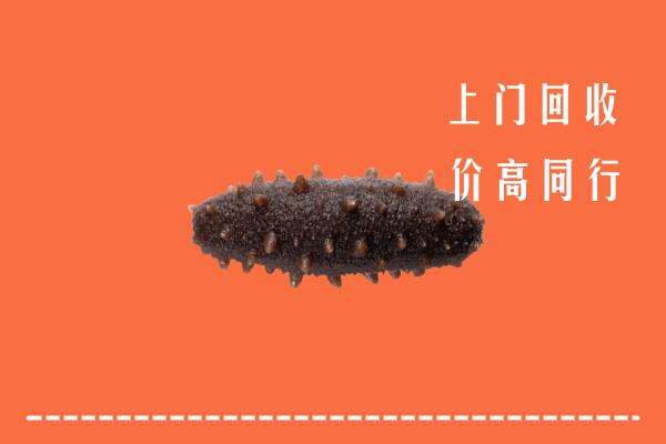 眉县回收海参