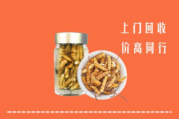眉县回收冬虫夏草