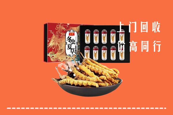 眉县回收虫草